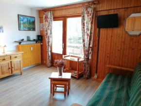 Studio fonctionnel 4 pers avec balcon sud, parking, animaux admis - FR-1-241-65